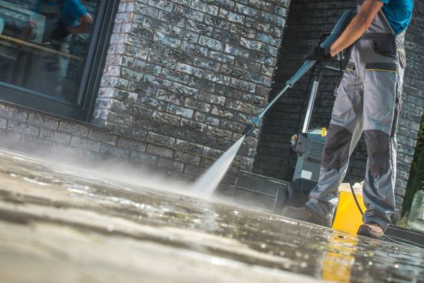 Best Pre-Holiday Cleaning  in Buffalo, TX