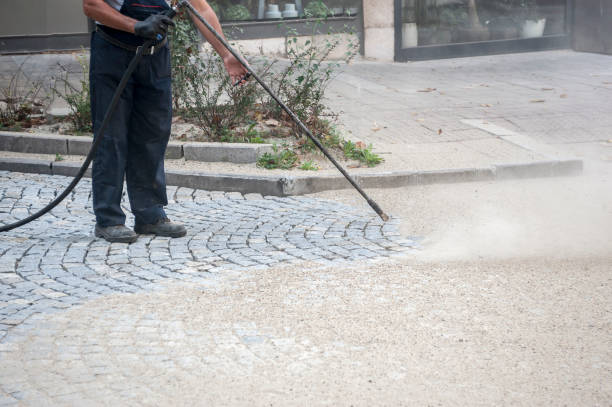 Best Sidewalk and Walkway Cleaning  in Buffalo, TX